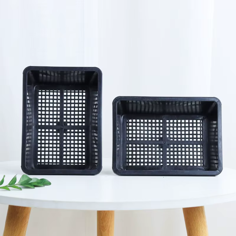 5/1 Pièces Plateau de culture pour plantes