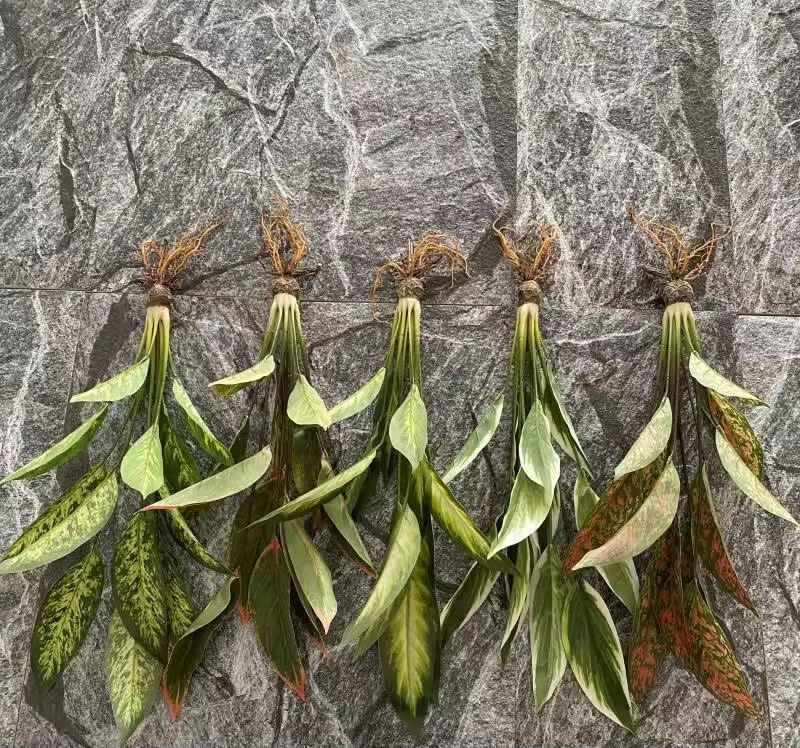 Plantes vertes artificielles