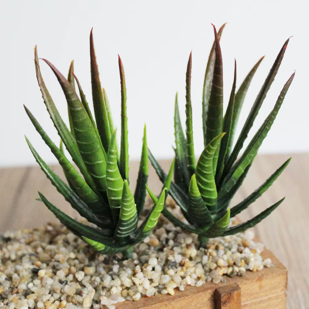Vert rose jaune zèbre Aloe plantes succulentes artificielles maison jardin décoration bricolage