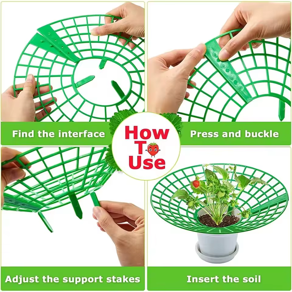 Supports pour plantes à fraises
