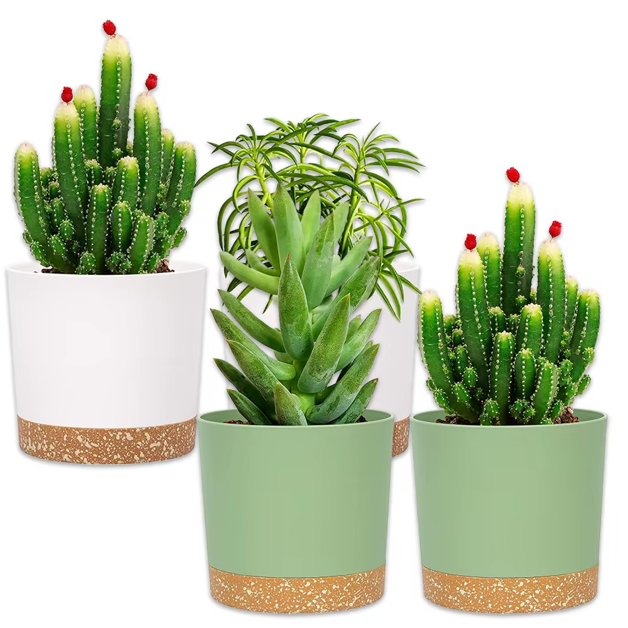 Pot de fleurs, lot de 2 jardinières pour plantes d'intérieur avec trous de drainage et soucoupe