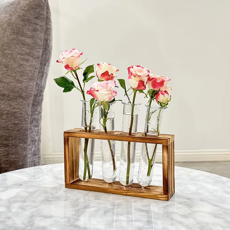 Vase hydroponique pour Tube à essai de plantes