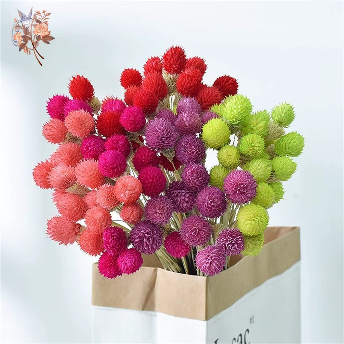 Bouquet de fleurs de fruits Harvey séchés naturels