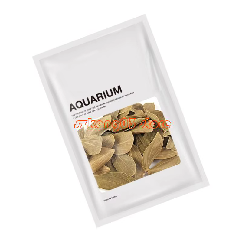 J6pc terminalia catappa foetida quitte les amandes îles Ammandes Feuille poisson Traitements
