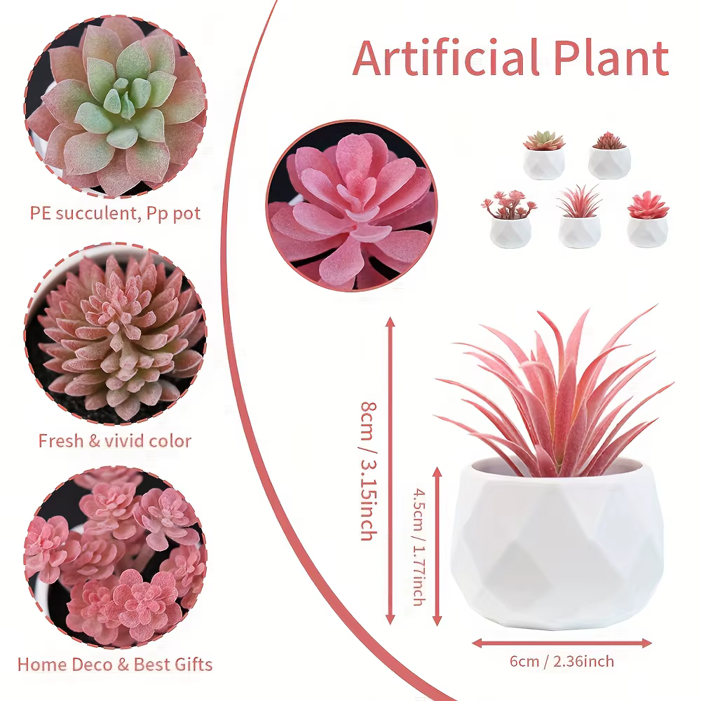 5 mini-plantes succulentes artificielles réalistes avec pot