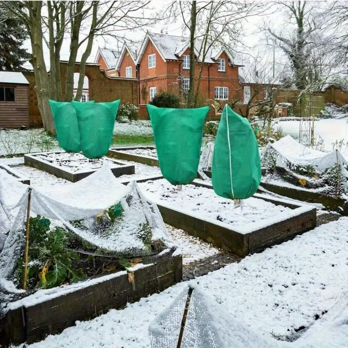 Couverture de Protection des plantes d'hiver
