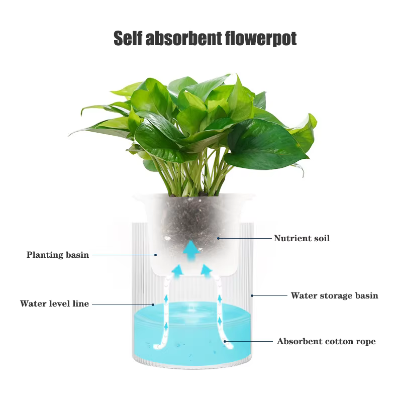 Pot de fleurs auto-arrosage pour plantes hydroponiques succulentes d'intérieur