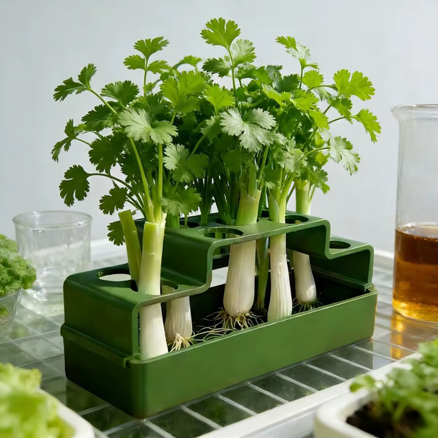 Un dispositif de plantation spécialement conçu pour les oignons verts