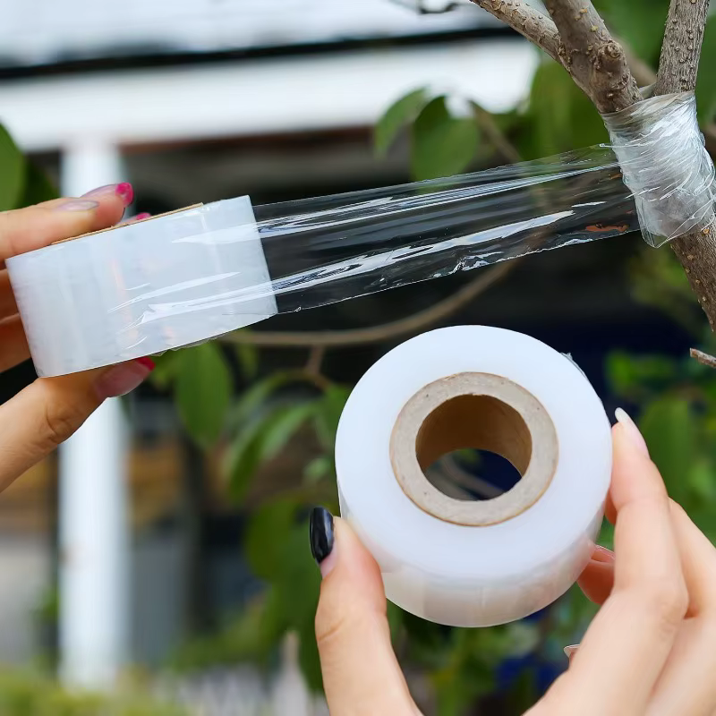 Ruban de greffage extensible pour plantes
