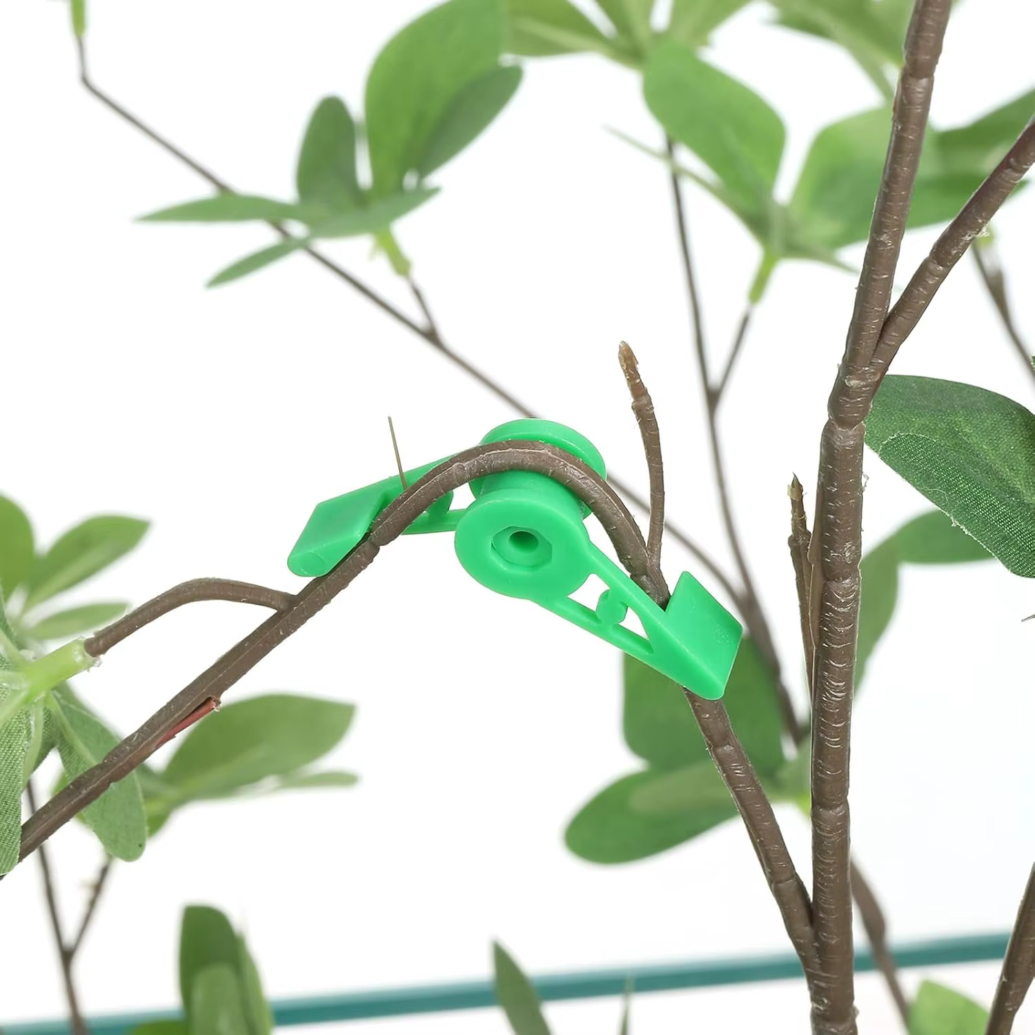 Clips d'entraînement pour cintreuse de Branches de plantes