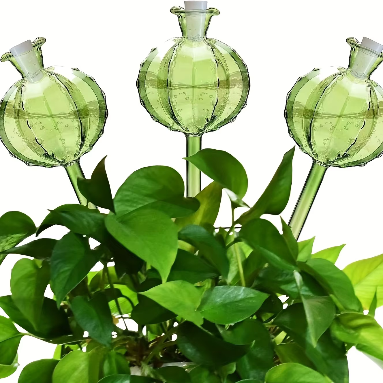 Ampoules d'arrosage automatique en forme de cactus