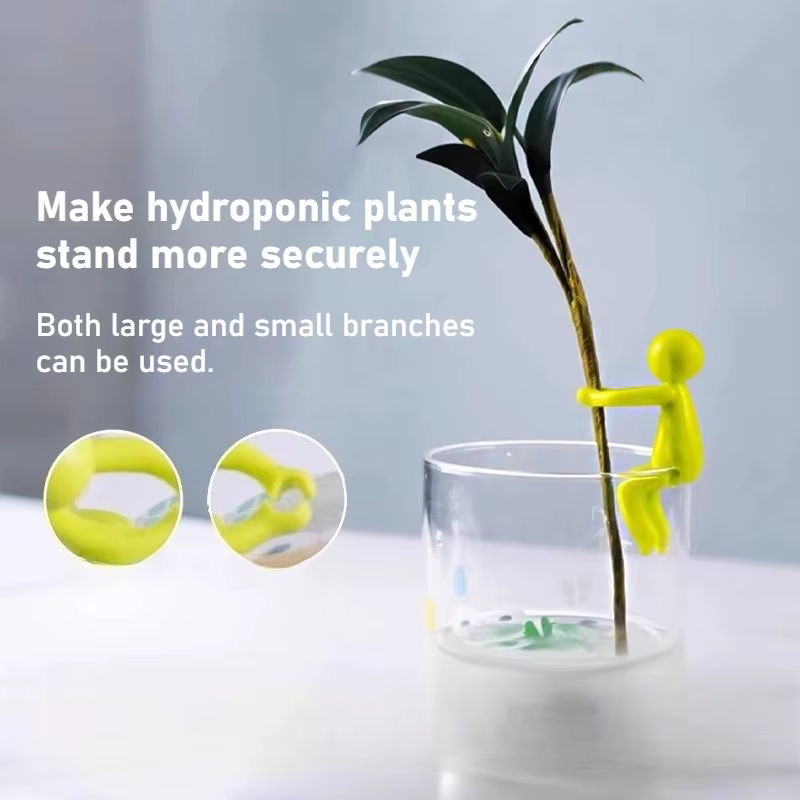 Cadre de Support pour plantes