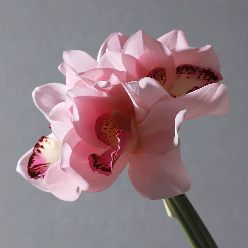 Bouquet de fleurs artificielles en soie Cymbidium 4 têtes sensation d'hydratation orchidée papillon décor de mariage de