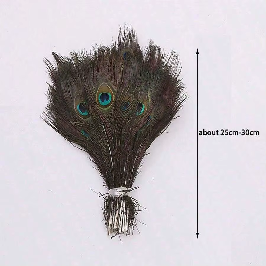 Plumes de paon naturelles 25-30cm