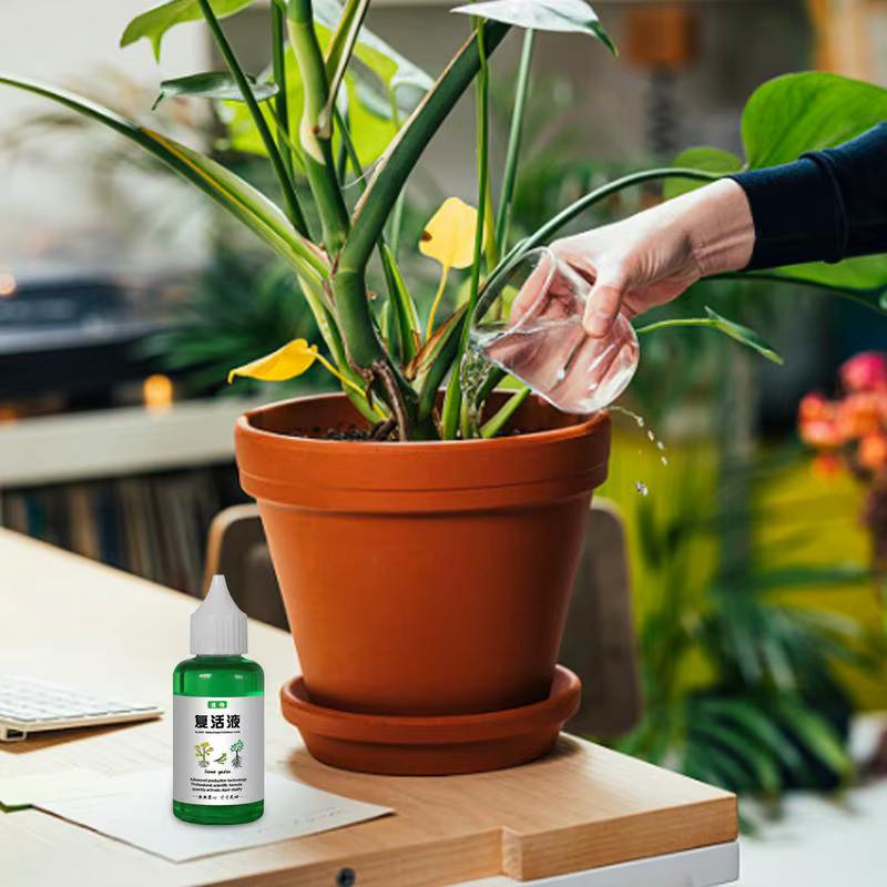 Solution universelle pour plantes