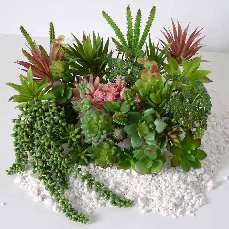 Plantes vertes succulentes artificielles