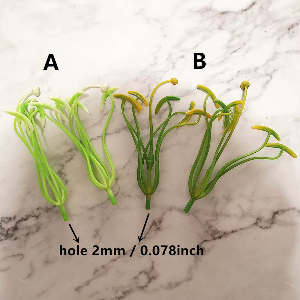 Pistil d'étamine de lys sélectionné