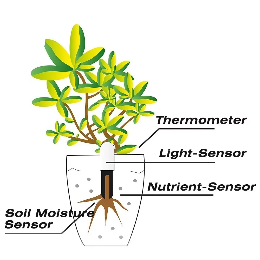 HHCC Flora Monitor : Testeur intelligent de fertilité du sol