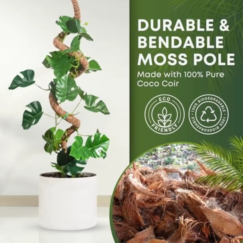Poteau en mousse flexible pour plantes, en fibre de coco, support pour Monstera, fait main, accessoires de jardinage DIY pour plantes grimpantes