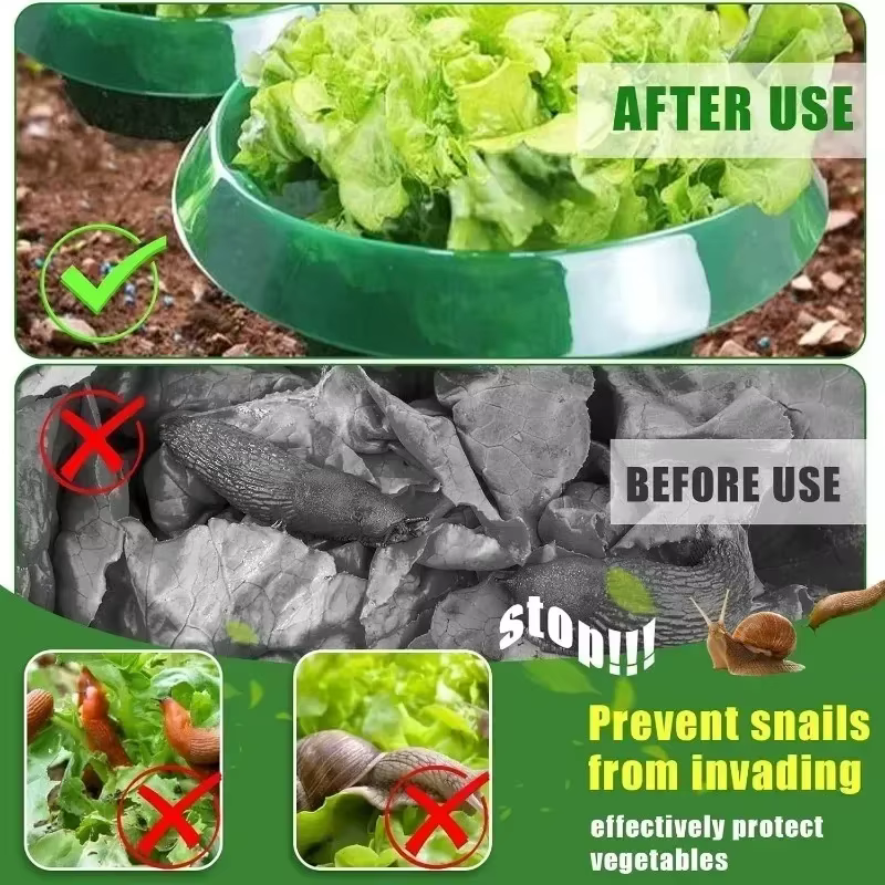 Colliers à limace pour plantes d'escargot