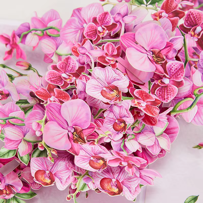 Cymbidium orchidées carte de voeux pop-up avec enveloppe fleurs