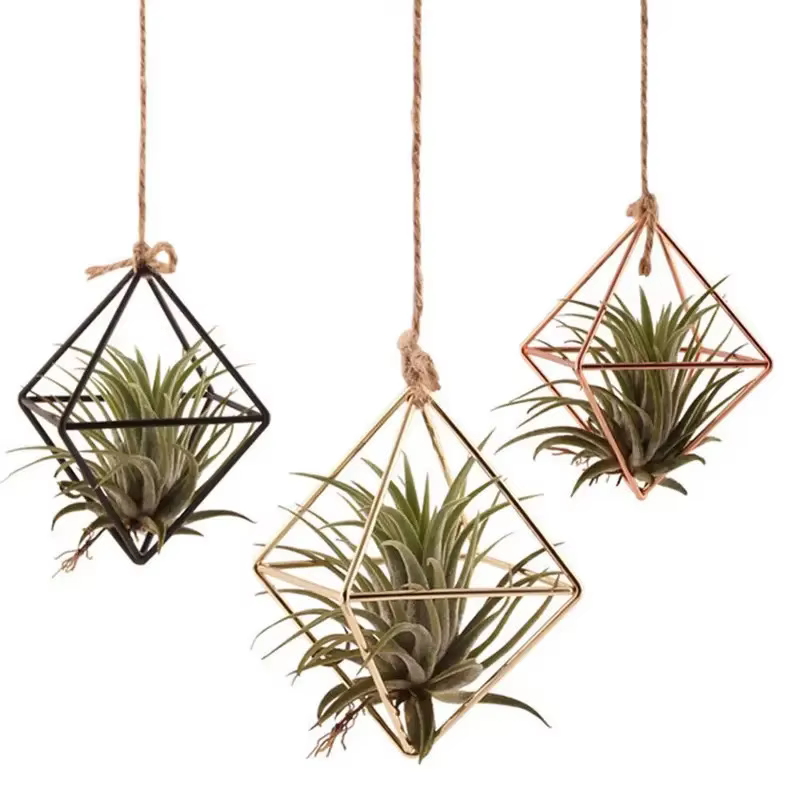 Cintre mural moderne en macramé pour fleurs