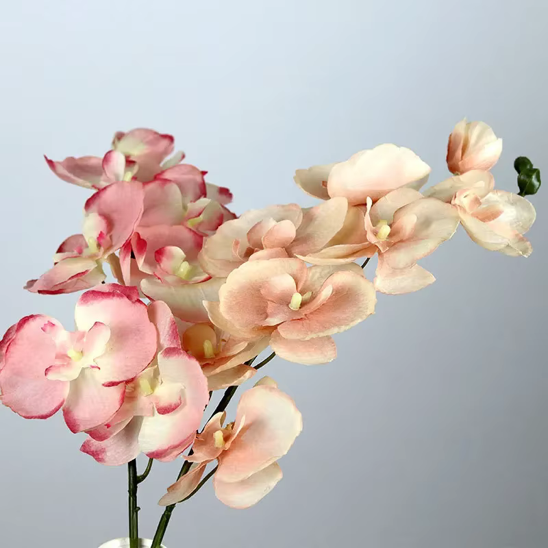 Orchidée papillon d'automne en soie