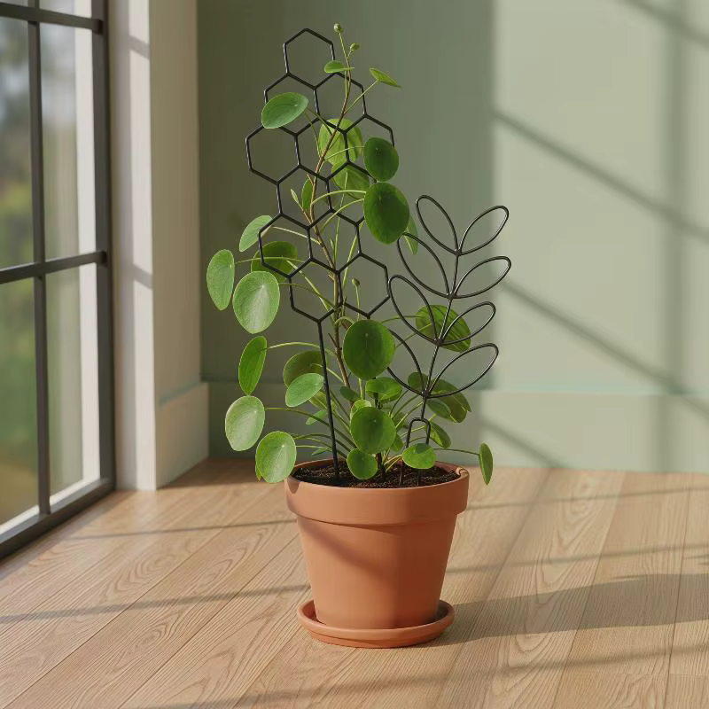 Support de plante d'intérieur et d'extérieur