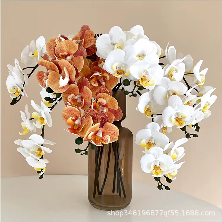 Film d'impression 3D Phalaenopsis