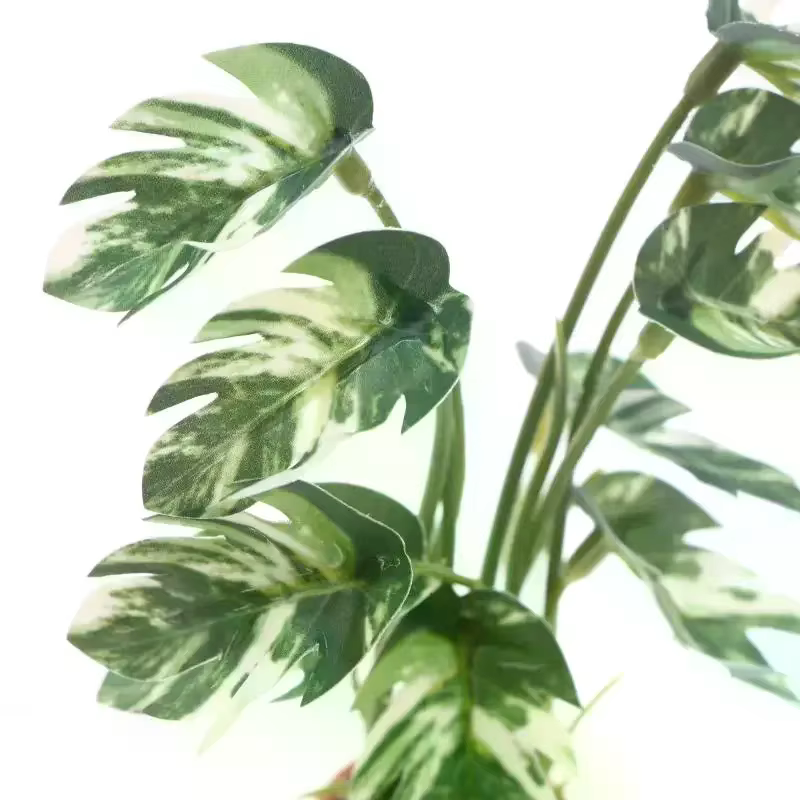 Simulation de maison de poupée Monstera