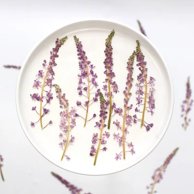 Fleur de Jujube en coton sauvage naturel