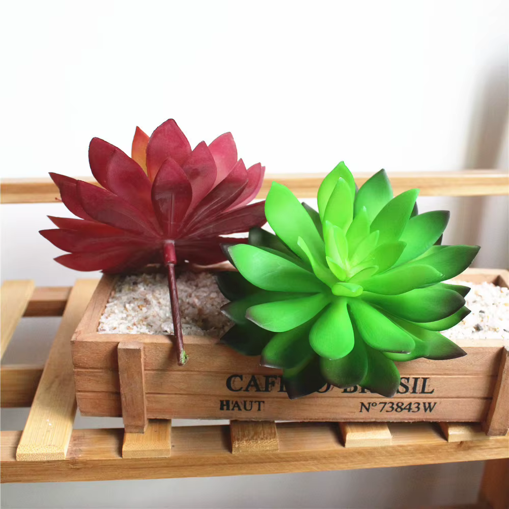 Tête de fleur de Lotus vert rouge
