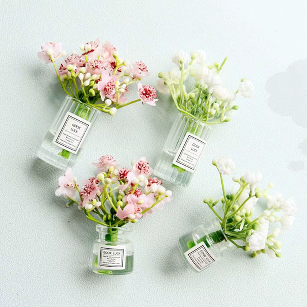 Plantes en pot miniatures pour décoration de bureau