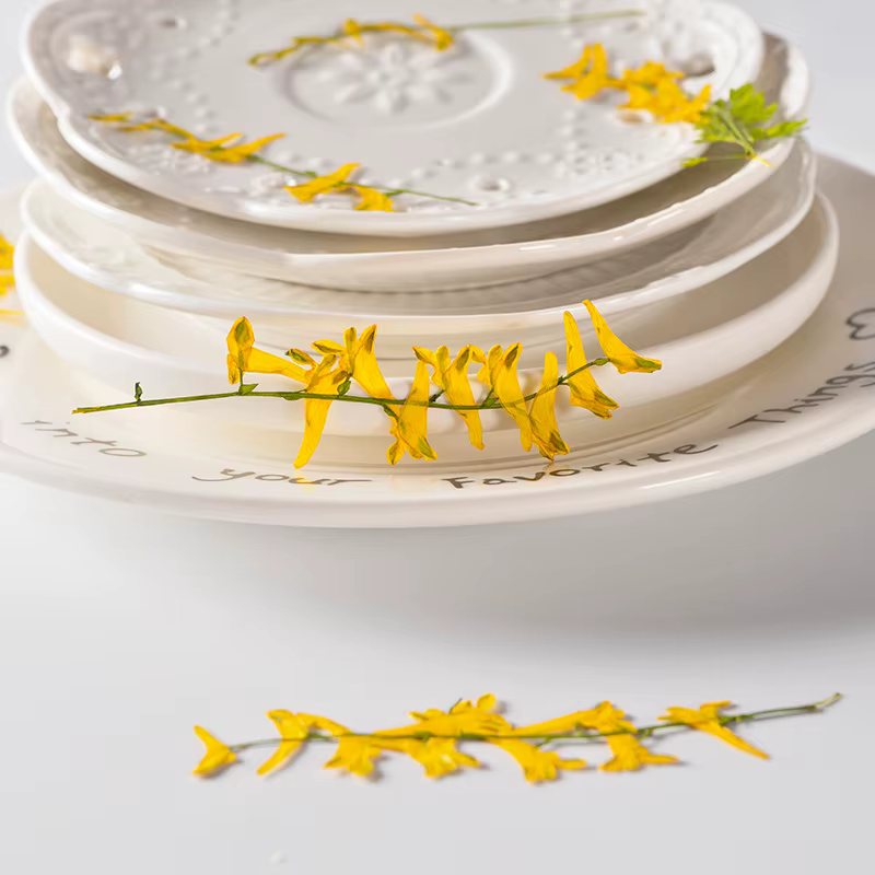 6 pièces/6-10 cm, fleurs séchées d'herbe de perroquet naturelles