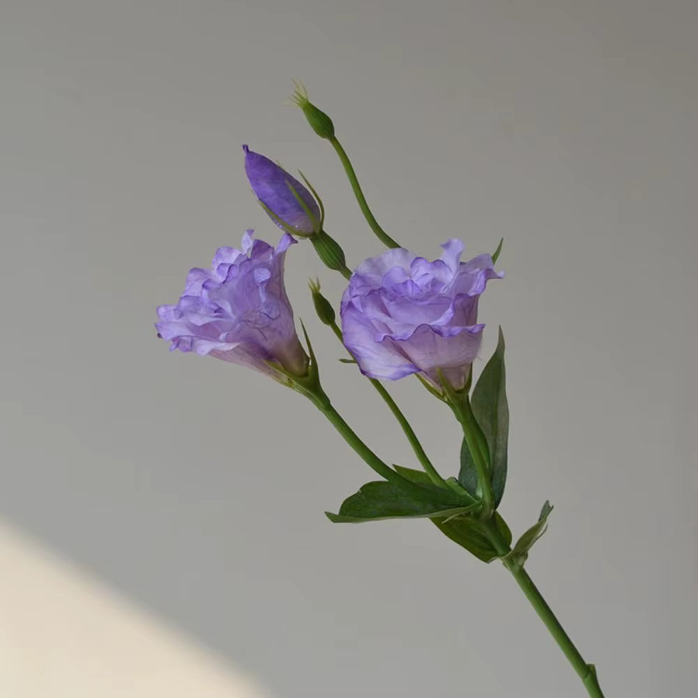 Fleurs artificielles Lisianthus au toucher réel