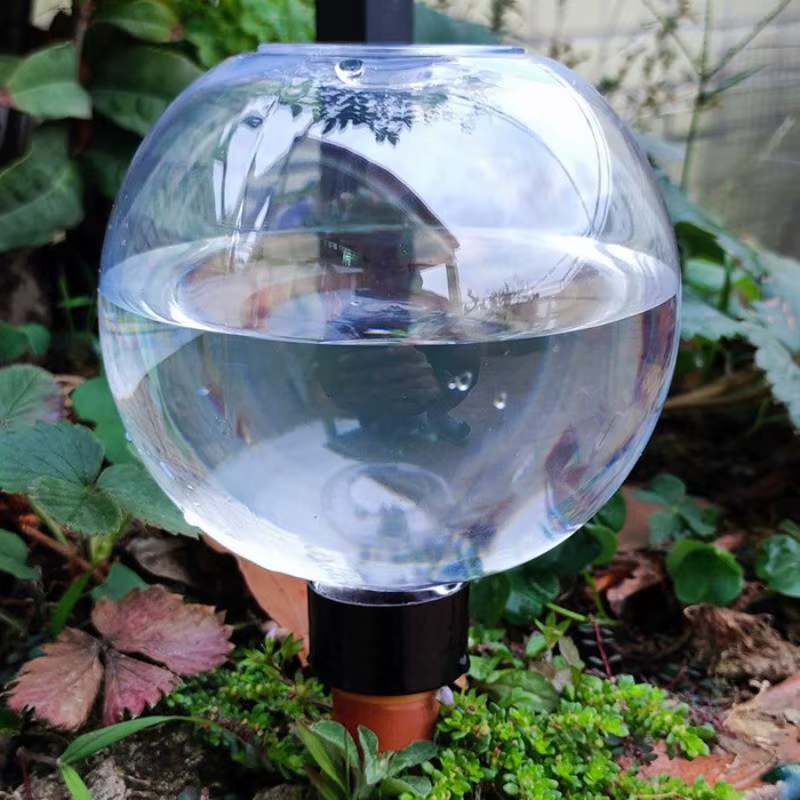 Système d'arrosage automatique 1 pièce pour plantes domestiques