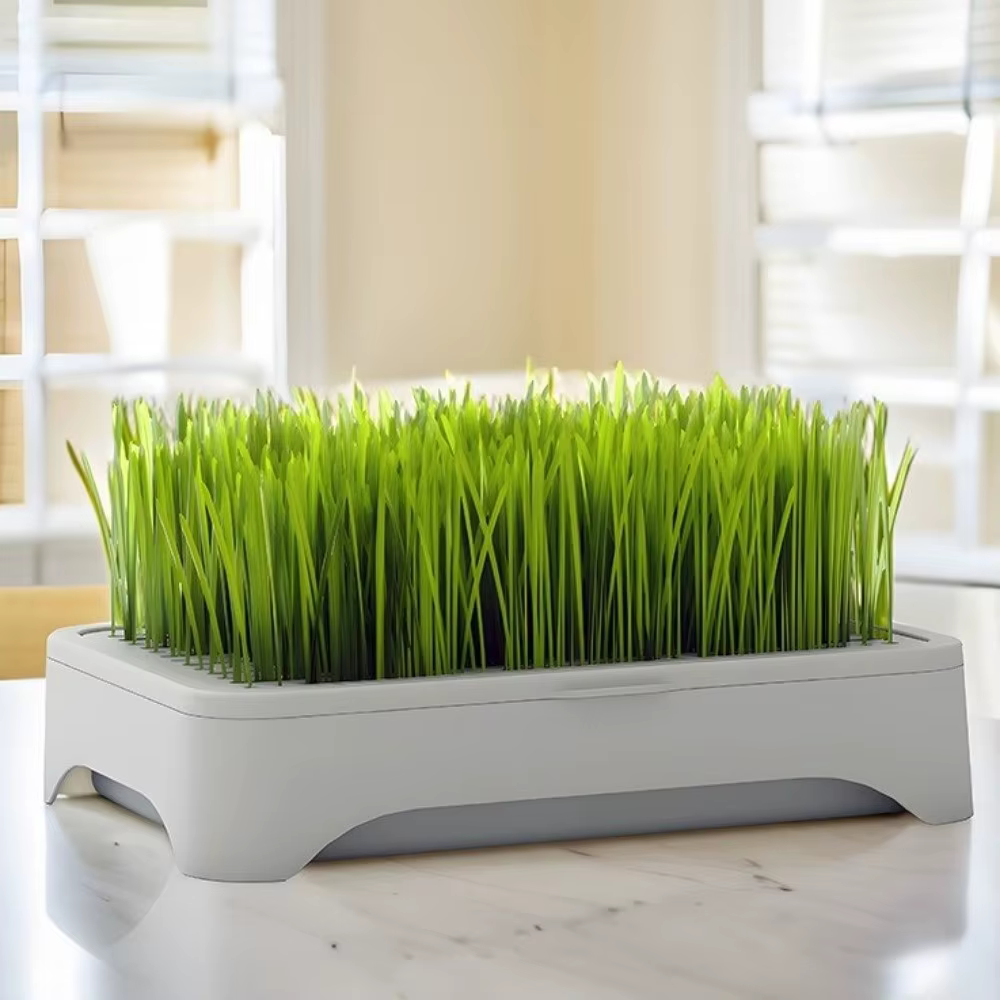 Pot de culture pour herbe à chat en plastique