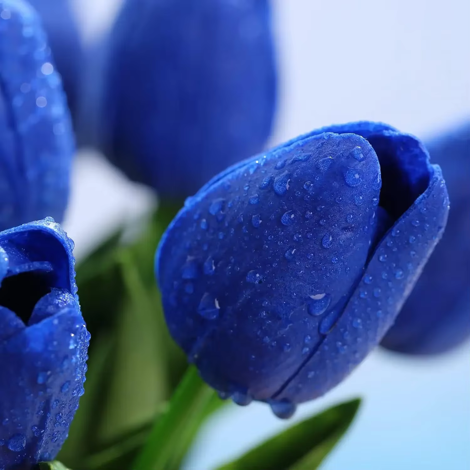 Tulipes artificielles au toucher réel