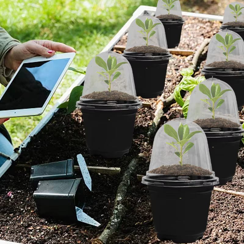 Pots de pépinière de semis