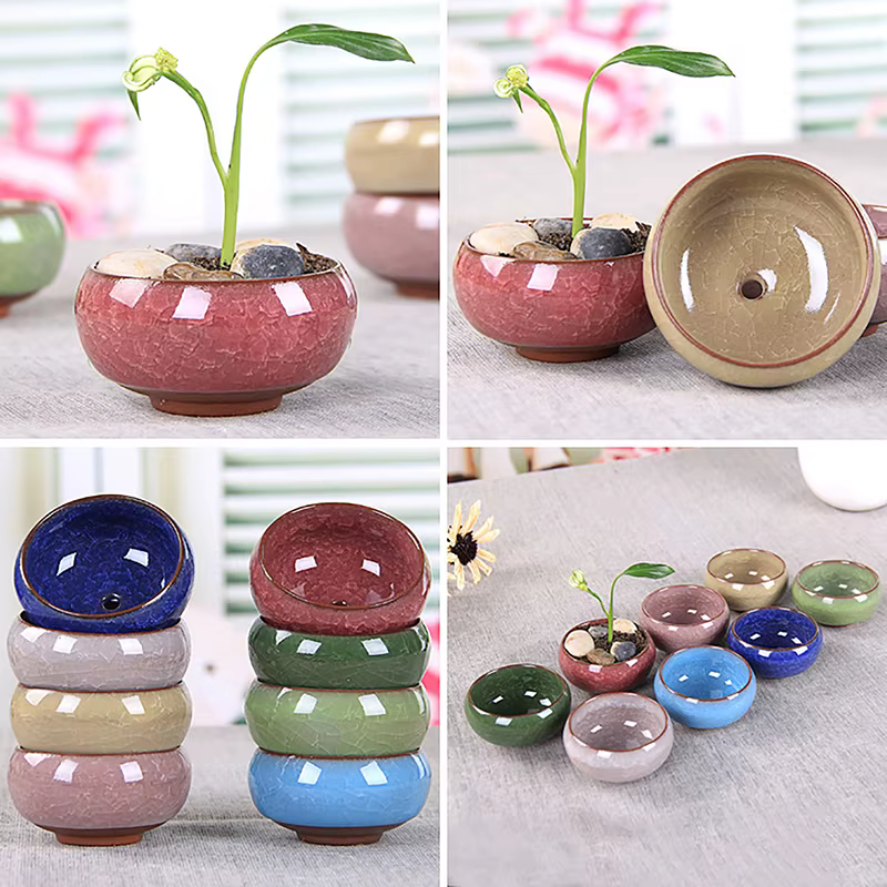 Jardinière succulente en céramique de fleur de glaçure de craquel de glace mignonne Mini Pot de plante Pot