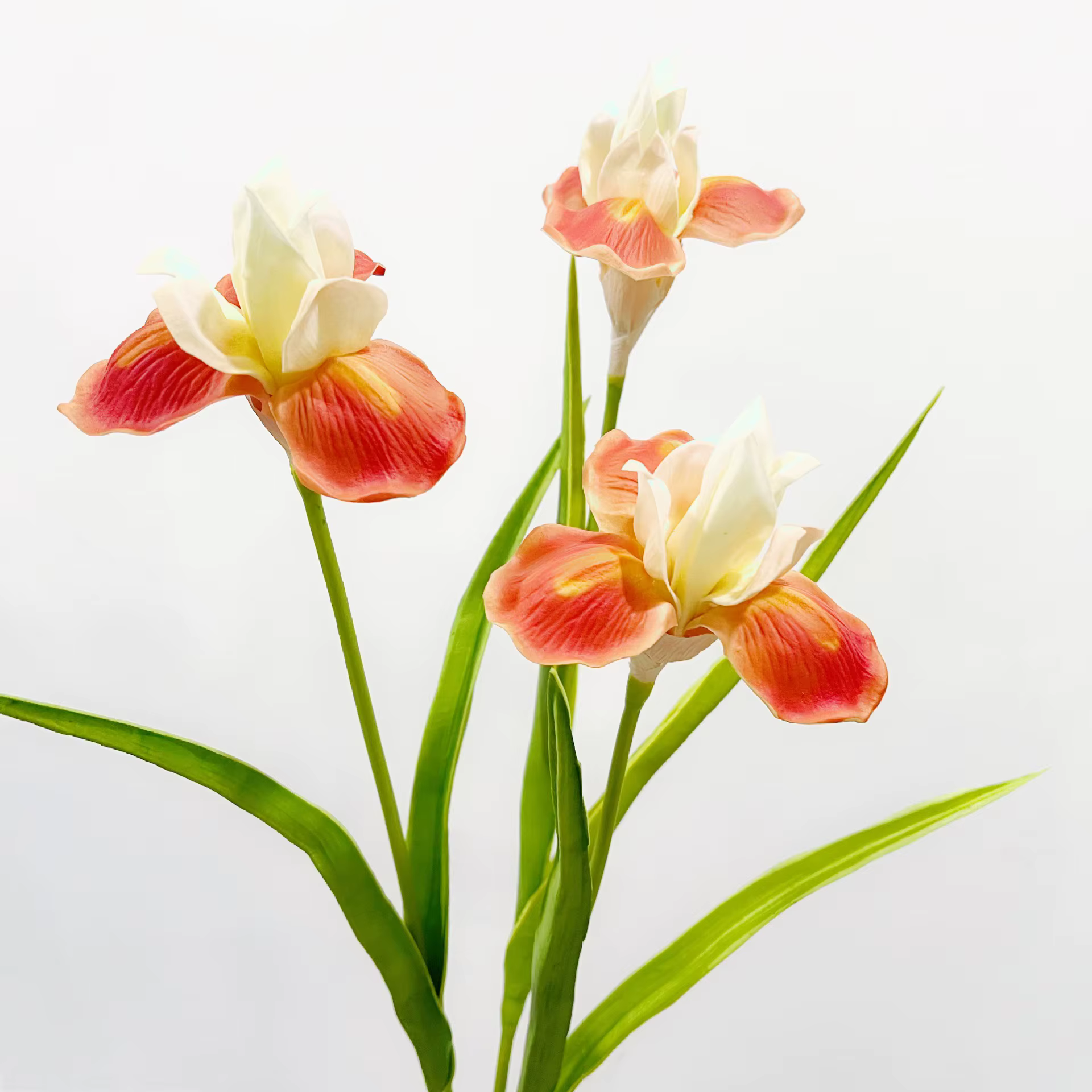Fleurs d'iris artificielles de haute qualité de 21