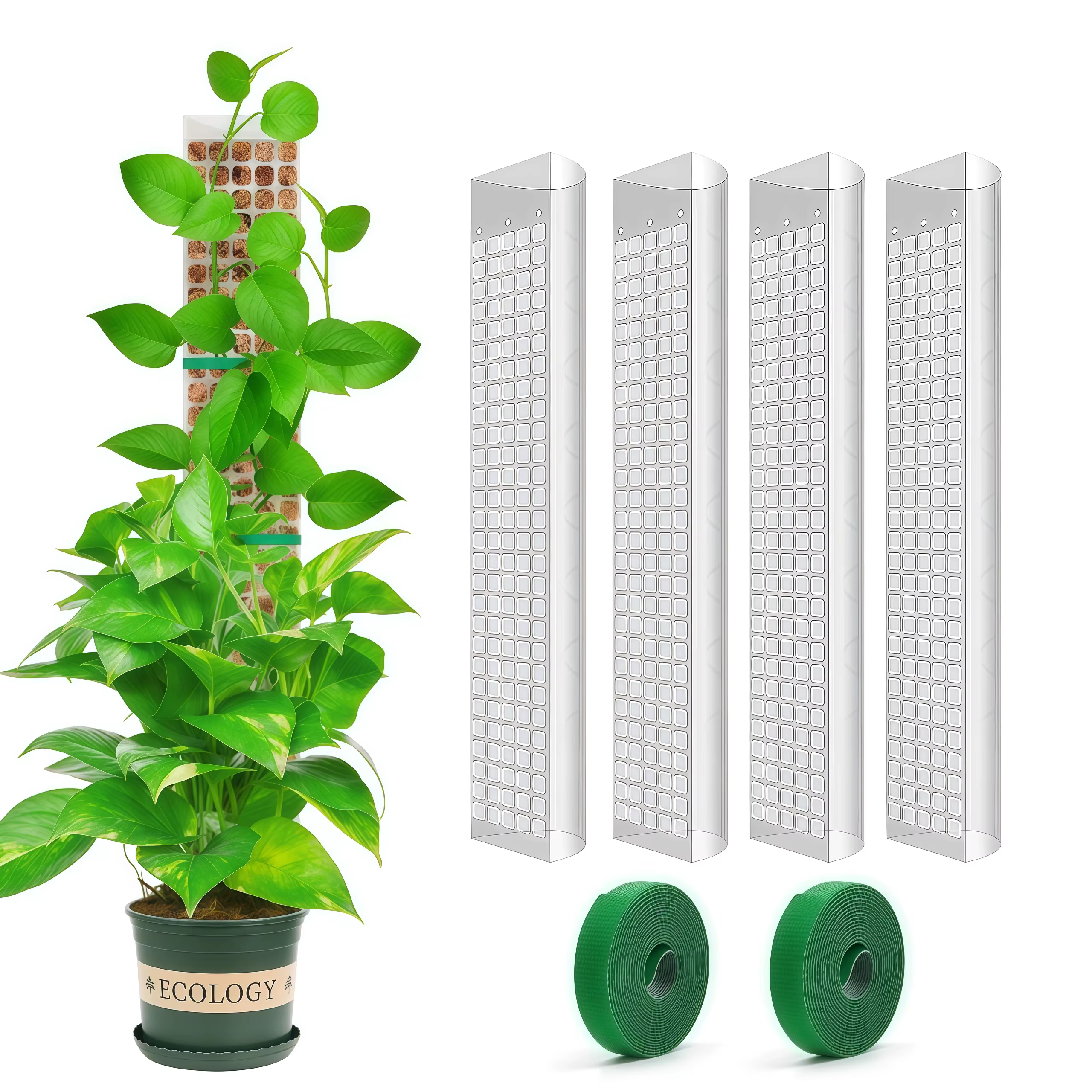 Support en plastique pour plantes grimpantes d'intérieur