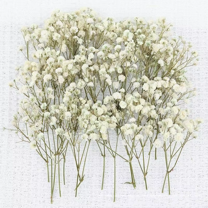 Paquet 50 fausses fleurs gypsophile séchées avec tiges vertes pour bouquets