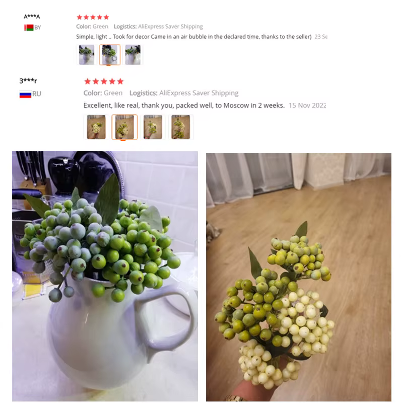 Branche de haricot vert pour décoration de maison