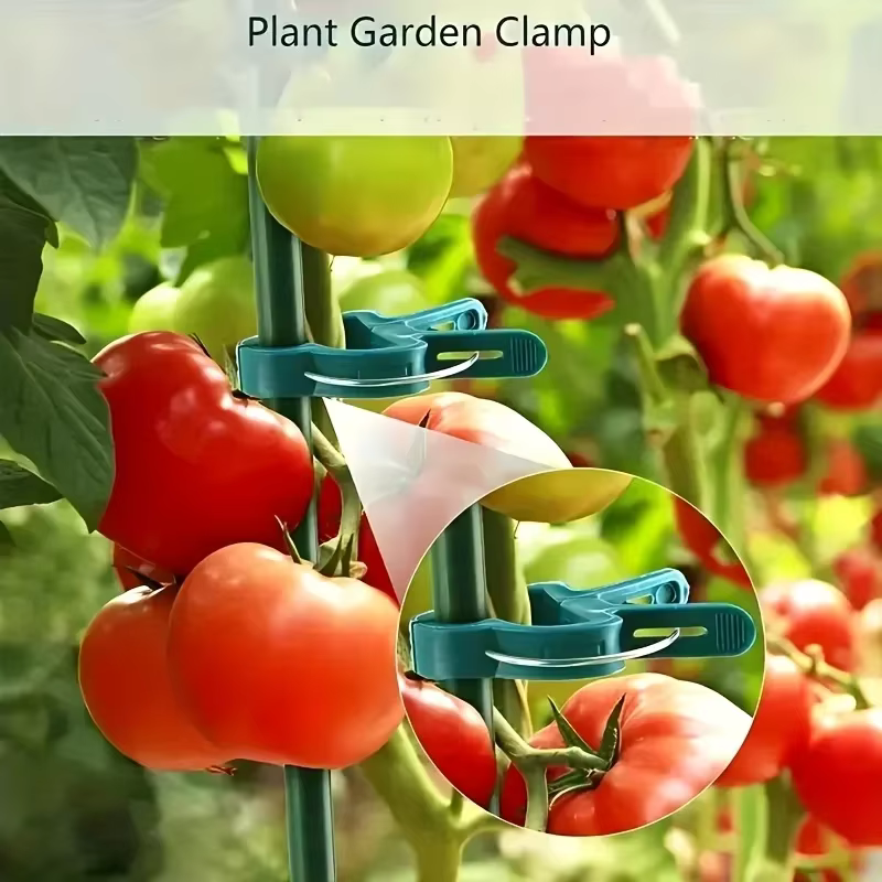 10/30 pièces de pinces de jardin réutilisables
