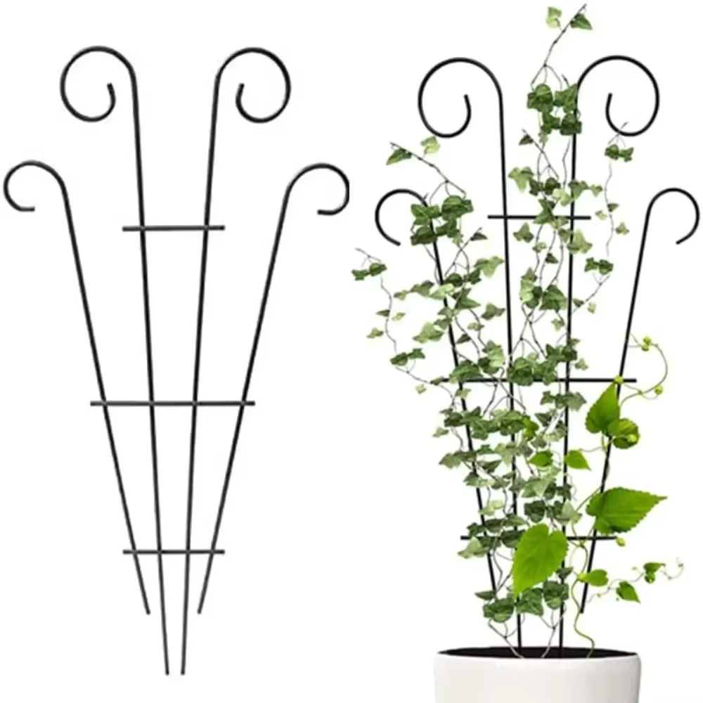 2 treillis pour plantes grimpantes extérieures