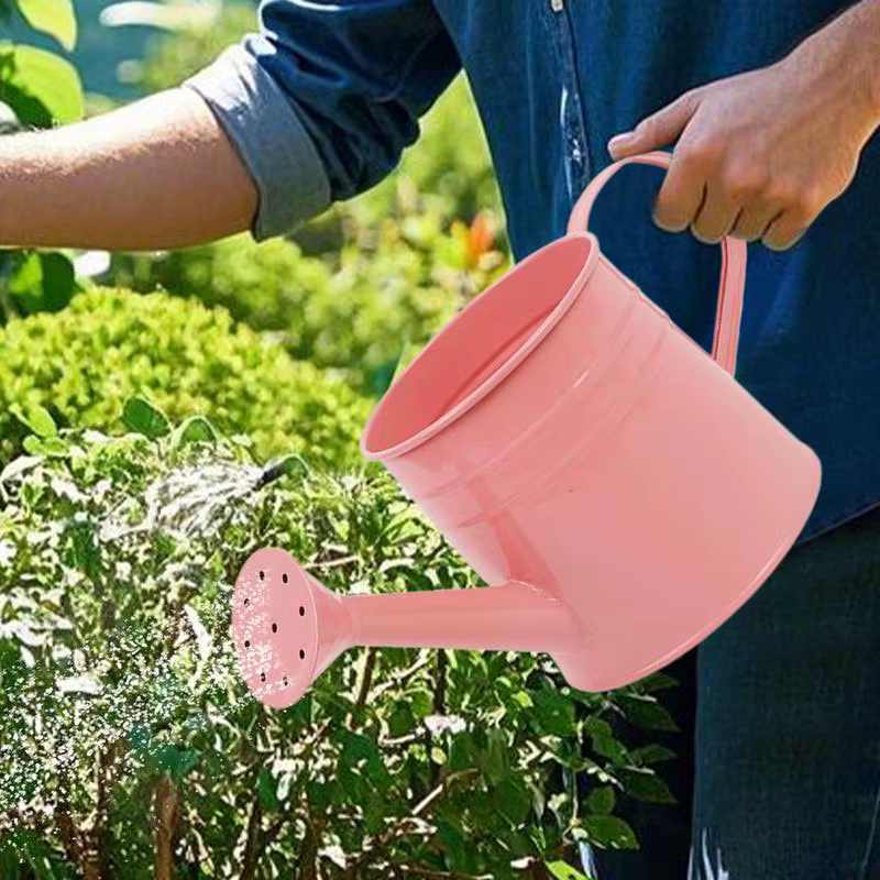 Petit arrosoir pour plantes d'intérieur