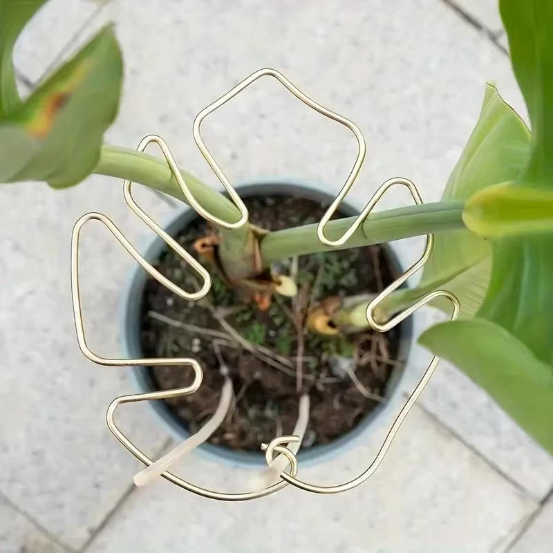 Support de plante suspendu avec crochets en fer