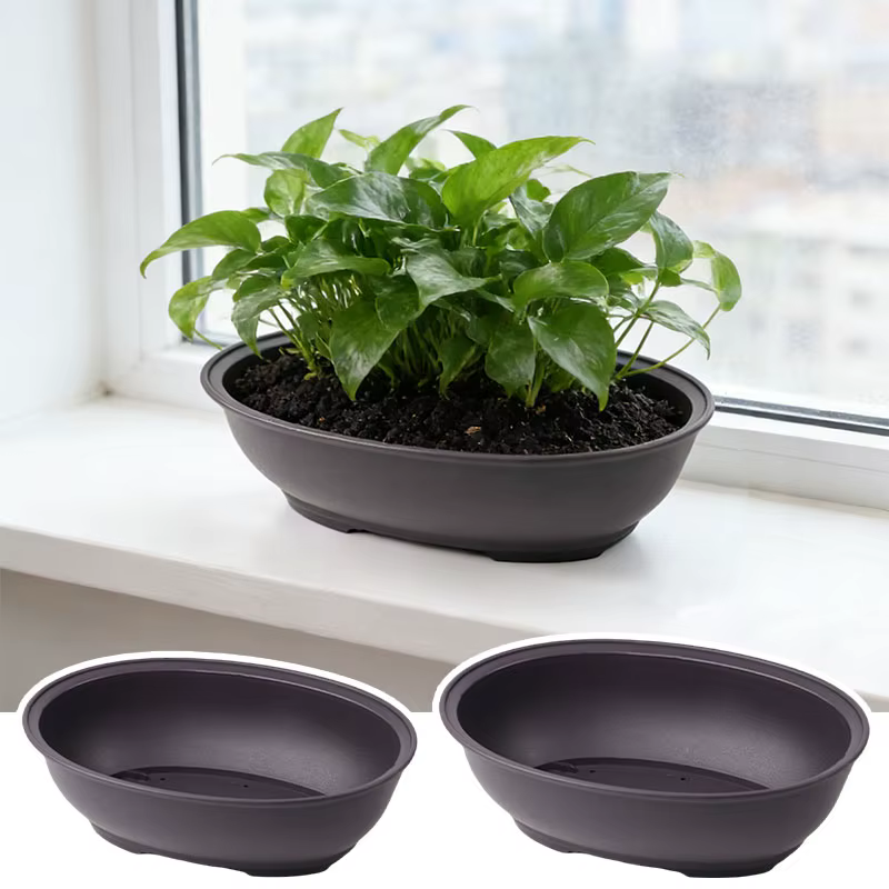 Pots à bonsaï ovales en plastique