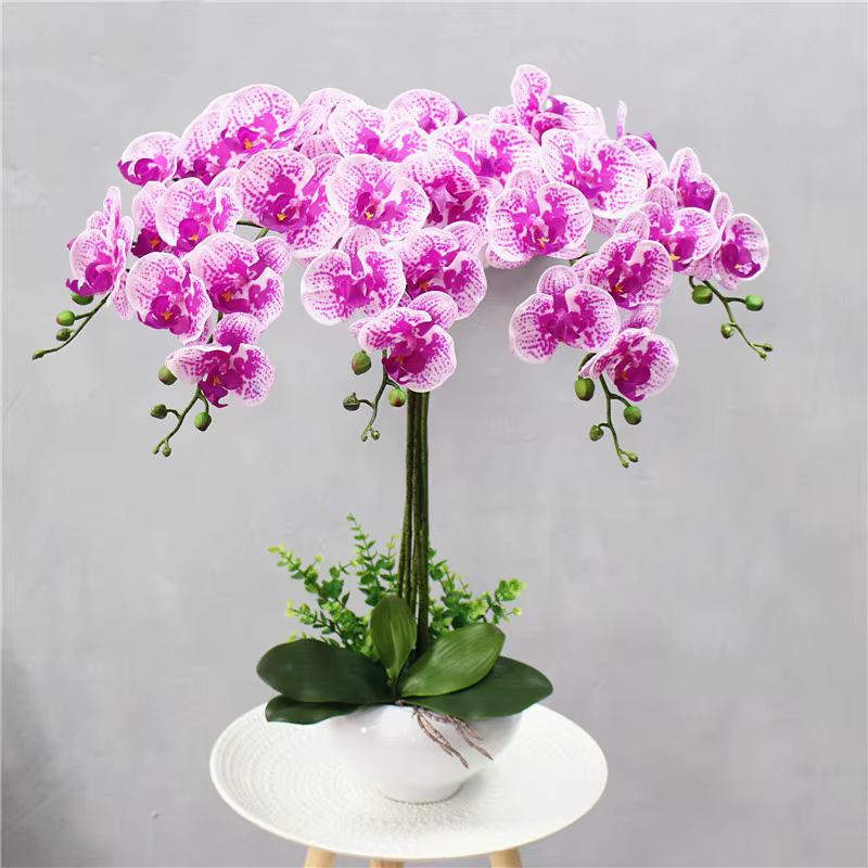 9 têtes d'orchidées Phalaenopsis artificielles en latex PU à toucher réel